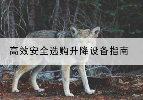 延庆区升降货梯厂家推荐-*安全选购升降设备指南