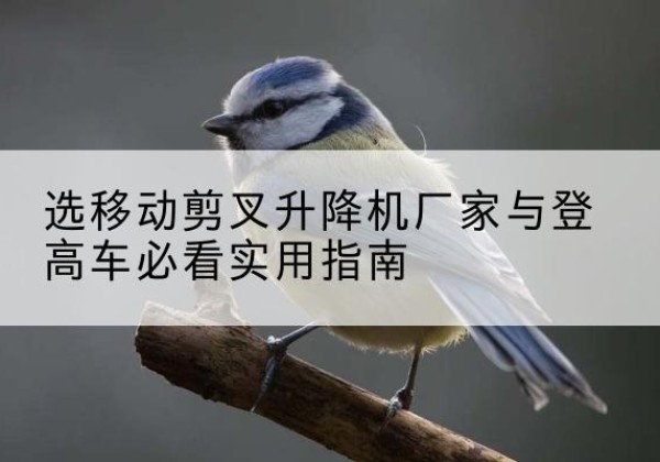 延庆区电动升降机厂家-选移动剪叉升降机厂家与登高车必看实用指南