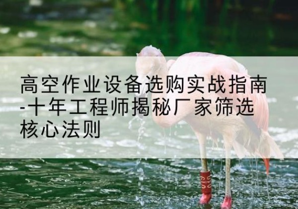 延庆区剪叉式升降机厂家-高空作业设备选购实战指南-十年工程师揭秘厂家筛选核心法则